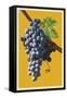 Wine Grapes-Lantern Press-Framed Stretched Canvas