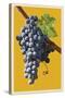 Wine Grapes-Lantern Press-Stretched Canvas