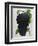 Wine Grapes-null-Framed Premium Giclee Print