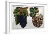 Wine Grapes-null-Framed Giclee Print