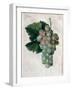 Wine Grapes-null-Framed Giclee Print