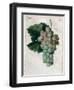 Wine Grapes-null-Framed Premium Giclee Print