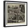 Wine-Growing in Australia, St Hubert's Vineyards, Victoria-null-Framed Giclee Print