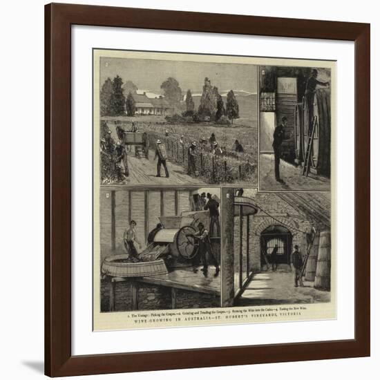 Wine-Growing in Australia, St Hubert's Vineyards, Victoria-null-Framed Giclee Print