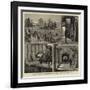 Wine-Growing in Australia, St Hubert's Vineyards, Victoria-null-Framed Giclee Print