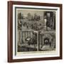 Wine-Growing in Australia, St Hubert's Vineyards, Victoria-null-Framed Giclee Print