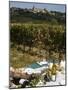Wine in Vezelay, Yonne, Burgundy, France, Europe-null-Mounted Photographic Print