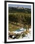Wine in Vezelay, Yonne, Burgundy, France, Europe-null-Framed Photographic Print