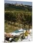 Wine in Vezelay, Yonne, Burgundy, France, Europe-null-Mounted Photographic Print