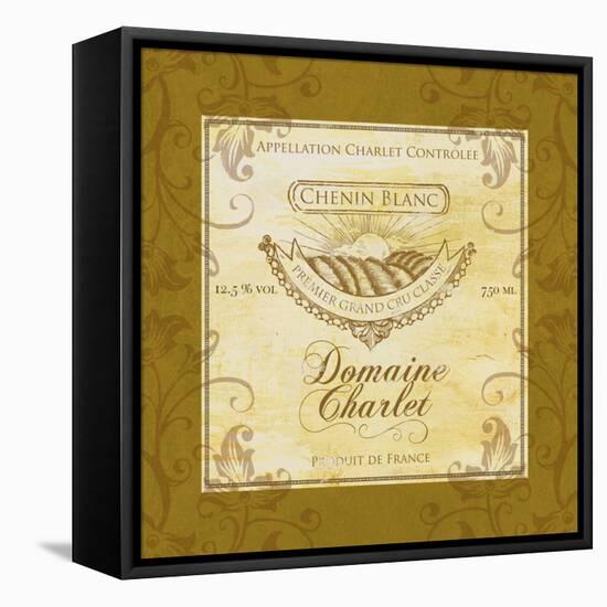 Wine Label 5-Fiona Stokes-Gilbert-Framed Stretched Canvas