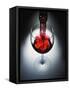 Wine poured in glass-Newmann-Framed Stretched Canvas