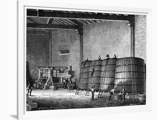 Wine Production, 19th Century-CCI Archives-Framed Photographic Print