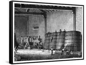Wine Production, 19th Century-CCI Archives-Framed Stretched Canvas