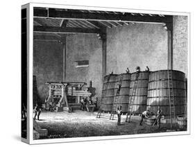 Wine Production, 19th Century-CCI Archives-Stretched Canvas