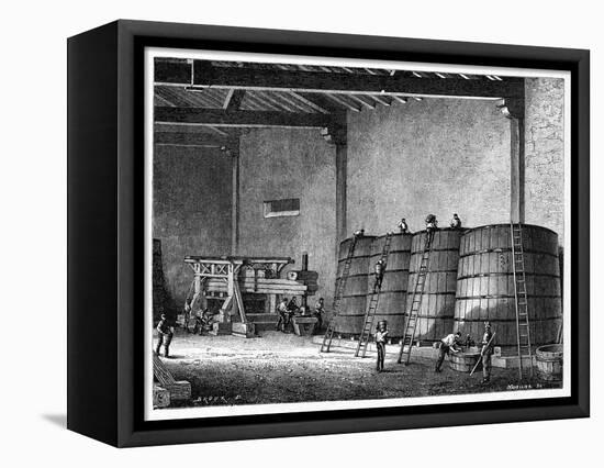 Wine Production, 19th Century-CCI Archives-Framed Stretched Canvas