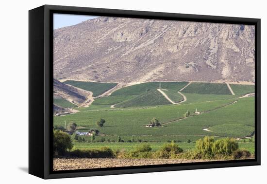 Wine Production in the Footills of the Andes, Valparaiso Region, Chile-Peter Groenendijk-Framed Stretched Canvas