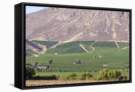 Wine Production in the Footills of the Andes, Valparaiso Region, Chile-Peter Groenendijk-Framed Stretched Canvas