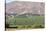 Wine Production in the Footills of the Andes, Valparaiso Region, Chile-Peter Groenendijk-Stretched Canvas