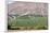 Wine Production in the Footills of the Andes, Valparaiso Region, Chile-Peter Groenendijk-Framed Photographic Print