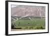 Wine Production in the Footills of the Andes, Valparaiso Region, Chile-Peter Groenendijk-Framed Photographic Print