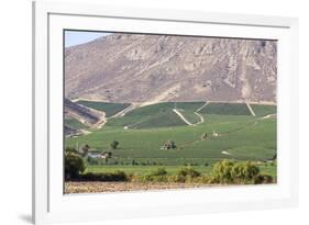 Wine Production in the Footills of the Andes, Valparaiso Region, Chile-Peter Groenendijk-Framed Photographic Print