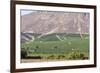 Wine Production in the Footills of the Andes, Valparaiso Region, Chile-Peter Groenendijk-Framed Photographic Print