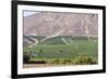 Wine Production in the Footills of the Andes, Valparaiso Region, Chile-Peter Groenendijk-Framed Photographic Print
