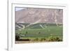 Wine Production in the Footills of the Andes, Valparaiso Region, Chile-Peter Groenendijk-Framed Photographic Print