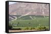 Wine Production in the Footills of the Andes, Valparaiso Region, Chile-Peter Groenendijk-Framed Stretched Canvas