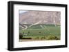 Wine Production in the Footills of the Andes, Valparaiso Region, Chile-Peter Groenendijk-Framed Photographic Print