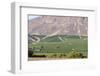 Wine Production in the Footills of the Andes, Valparaiso Region, Chile-Peter Groenendijk-Framed Photographic Print