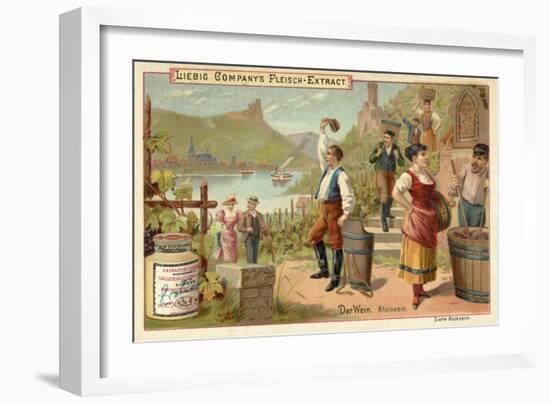 Wine: Rhine Wine-null-Framed Giclee Print