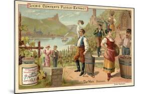 Wine: Rhine Wine-null-Mounted Giclee Print