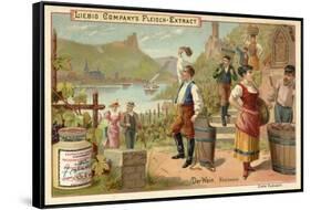 Wine: Rhine Wine-null-Framed Stretched Canvas