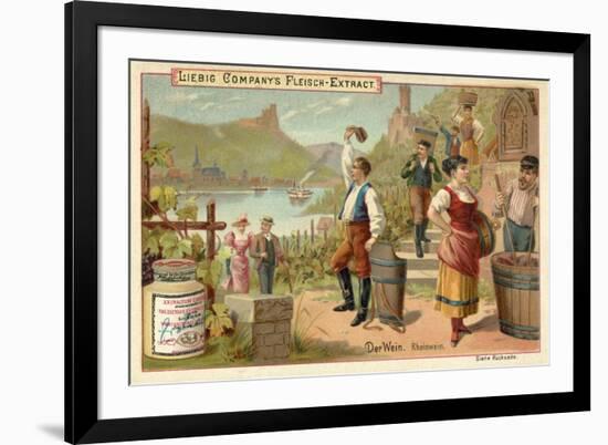 Wine: Rhine Wine-null-Framed Giclee Print