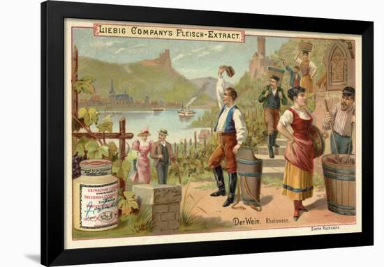 Wine: Rhine Wine-null-Framed Giclee Print