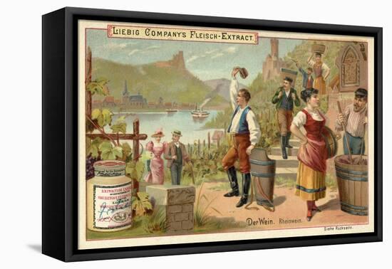 Wine: Rhine Wine-null-Framed Stretched Canvas