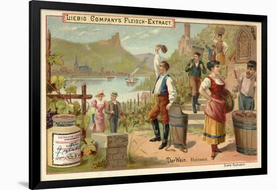 Wine: Rhine Wine-null-Framed Giclee Print