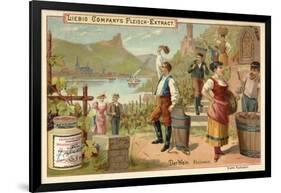 Wine: Rhine Wine-null-Framed Giclee Print