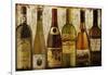 Wine Samples of Europe III-null-Framed Giclee Print