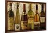 Wine Samples of Europe III-null-Framed Giclee Print