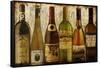 Wine Samples of Europe III-null-Framed Stretched Canvas