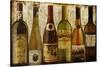 Wine Samples of Europe III-null-Stretched Canvas