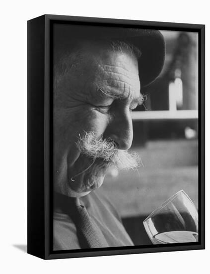 Wine Taster Sniffing Wine Before Tasting It-Carlo Bavagnoli-Framed Stretched Canvas