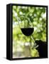 Wine Tasting at Quinta Do Casal Das Freiras. Tomar, Portugal-Mauricio Abreu-Framed Stretched Canvas