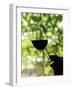 Wine Tasting at Quinta Do Casal Das Freiras. Tomar, Portugal-Mauricio Abreu-Framed Photographic Print