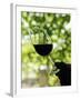 Wine Tasting at Quinta Do Casal Das Freiras. Tomar, Portugal-Mauricio Abreu-Framed Photographic Print