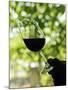 Wine Tasting at Quinta Do Casal Das Freiras. Tomar, Portugal-Mauricio Abreu-Mounted Photographic Print