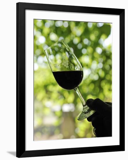 Wine Tasting at Quinta Do Casal Das Freiras. Tomar, Portugal-Mauricio Abreu-Framed Photographic Print