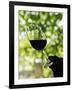 Wine Tasting at Quinta Do Casal Das Freiras. Tomar, Portugal-Mauricio Abreu-Framed Photographic Print